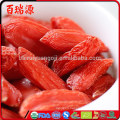 Low Suger goji berries benefits wolfberry lycium barbarum